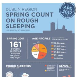 Rough Sleeper Count Spring 2017