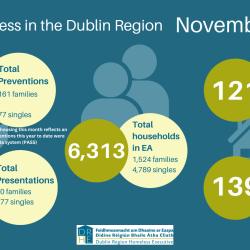 DRHE Monthly Report ( November 2024)