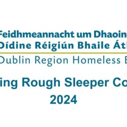Spring Rough Sleeper Count 2024